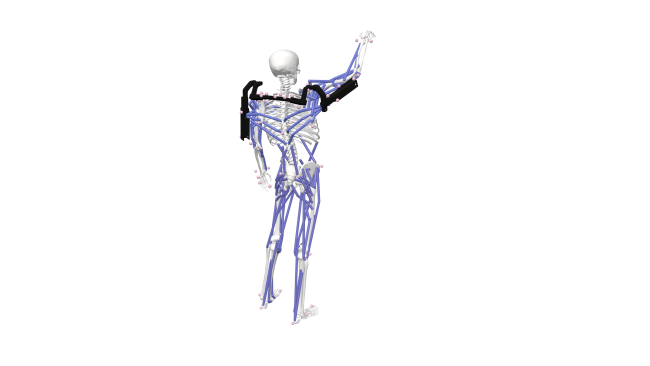 Bild_ExoBioMechSim